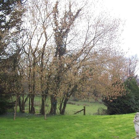 Maillet  Chateau Champigny Bed & Breakfast エクステリア 写真