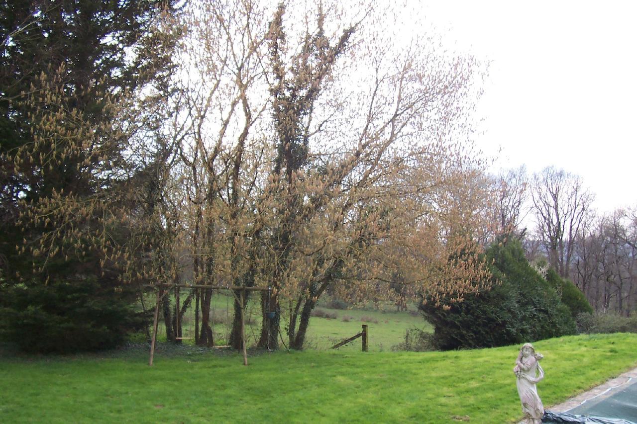 Maillet  Chateau Champigny Bed & Breakfast エクステリア 写真